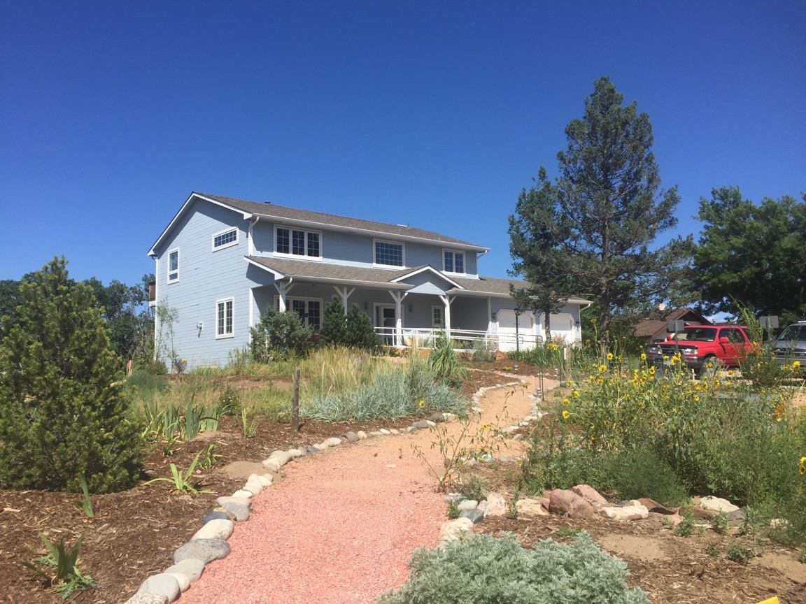 blue residential house with few plantings