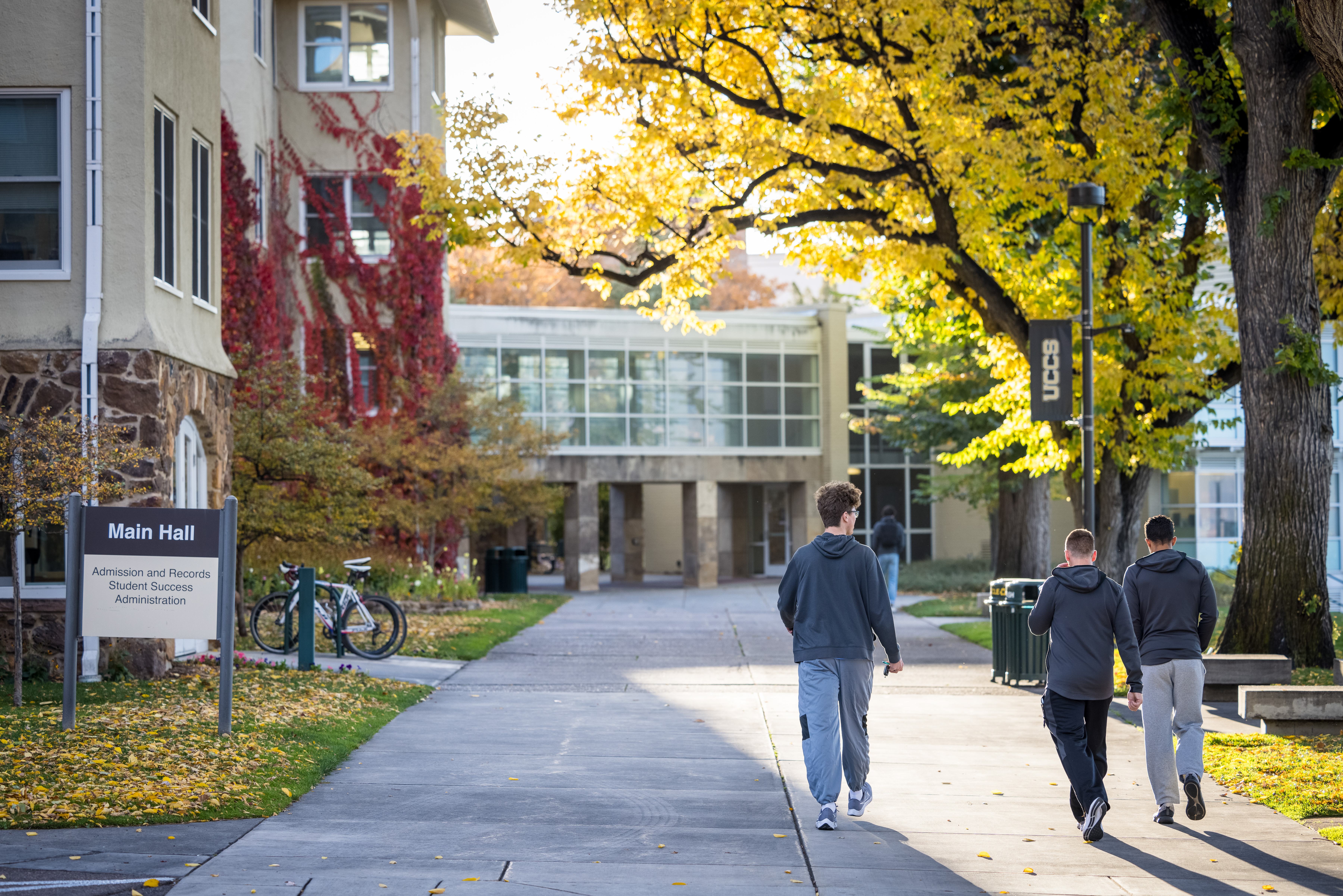 Students walking outside towards buildings