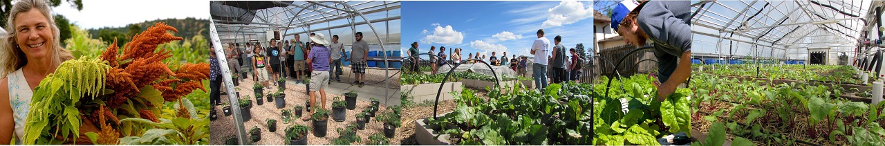 greenhouse and farm 