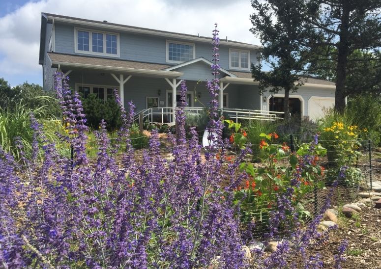 blue residential house with purple russian sage in foreground