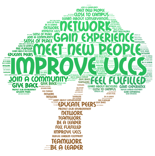 Word Cloud describing all the reasons to volunteer in our office