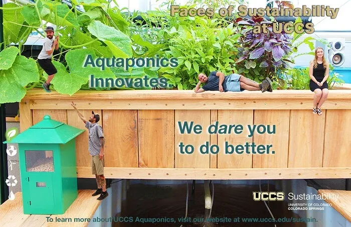 Aquaponics Innovates