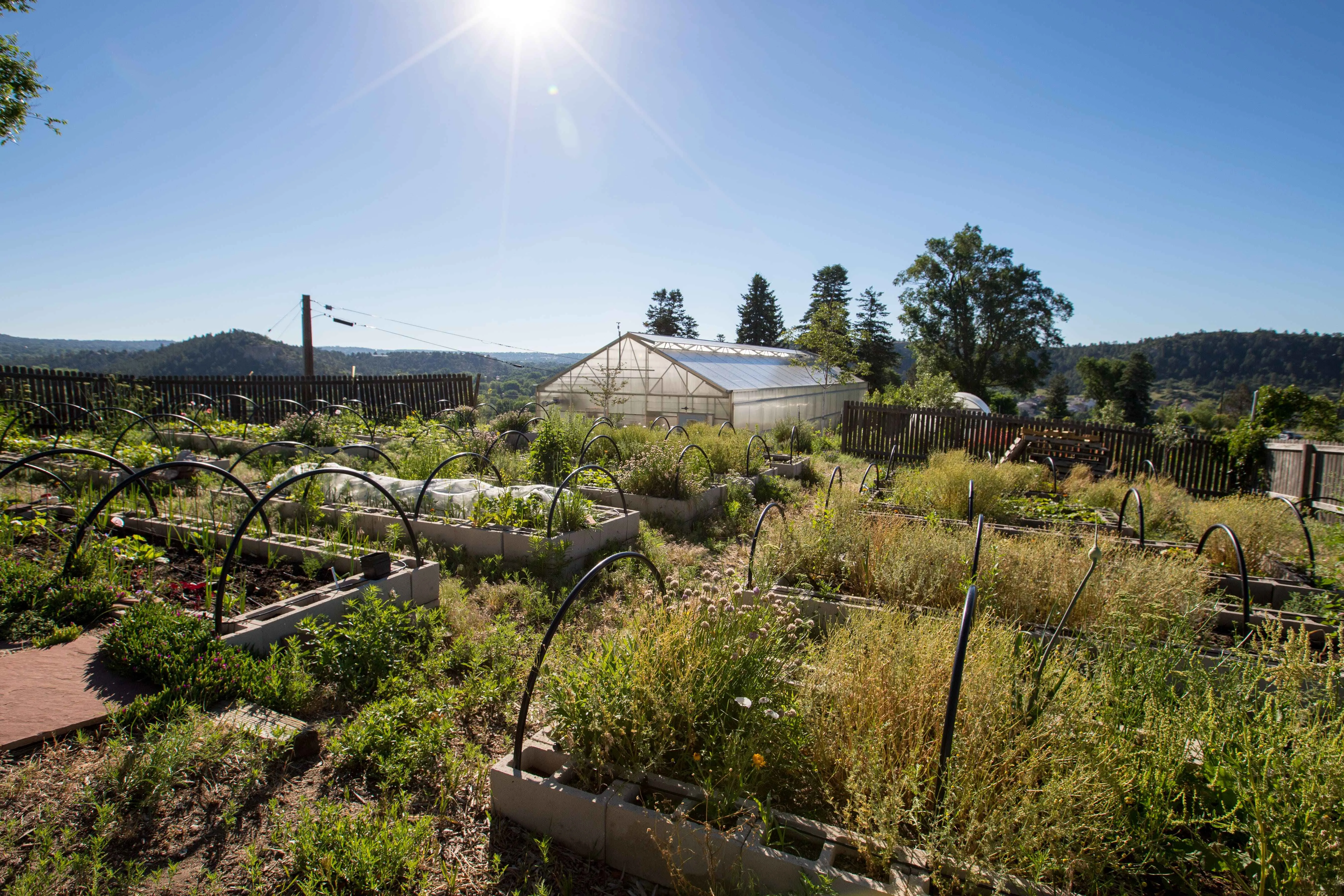 Sustainable farming