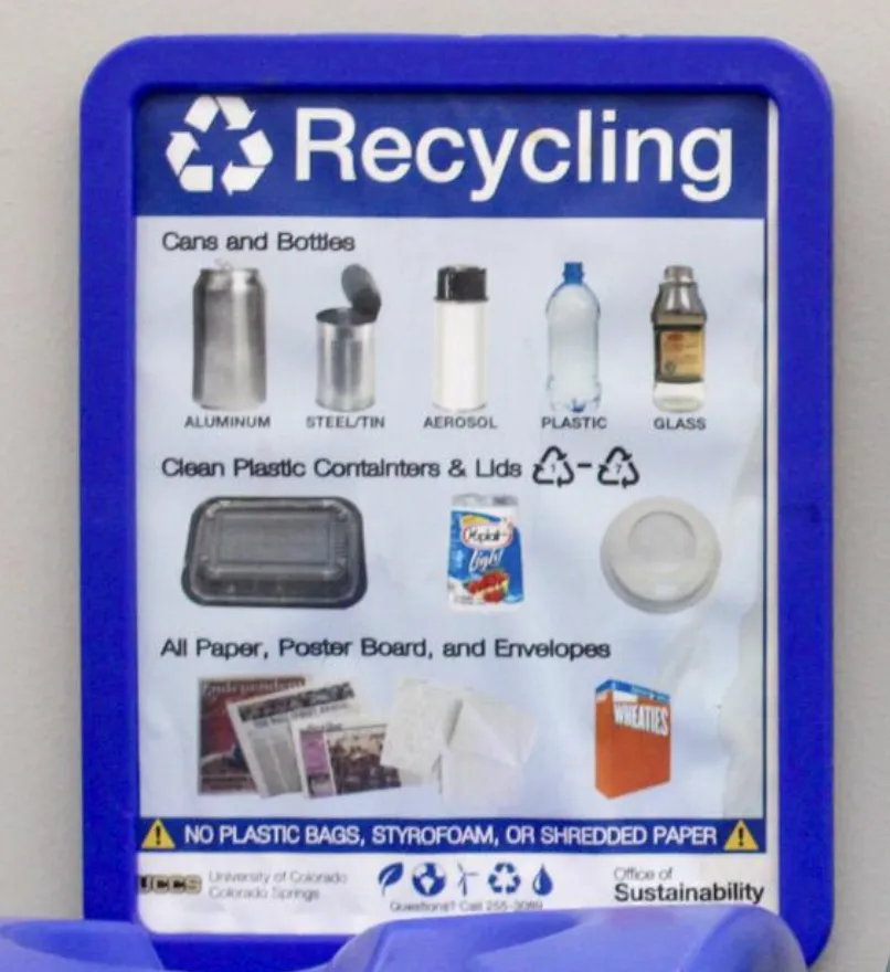 Blue bin recycling items picture