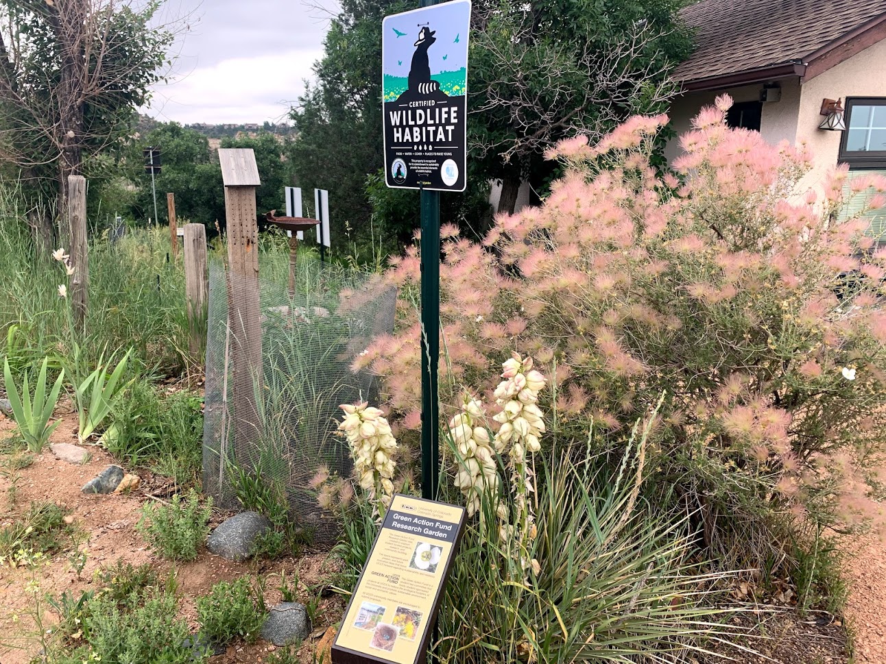 NWF wildlife habitat sign with apache plume bush in the background